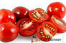Planter et soigner les tomates cerises dans la serre