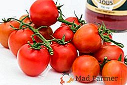 Tomat Marina Grove: semina, cura, vantaggi e svantaggi