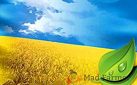 Uma pequena mas significativa vitória para produtores orgânicos na Ucrânia