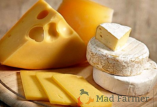 Le fromage en Ukraine a augmenté plusieurs fois de prix