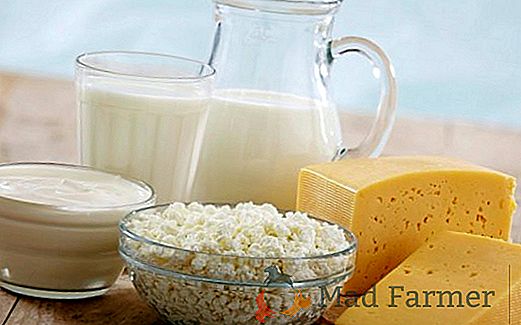 A febbraio, un aumento del prezzo dei prodotti lattiero-caseari