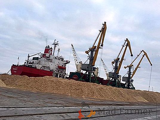 У січні порт "Ольвія" майже в два рази збільшив перевалку вантажів