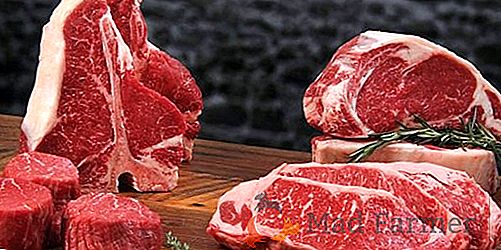 O programa de preparação de produtores nacionais de carne bovina antes da abertura do mercado da UE começa na Ucrânia