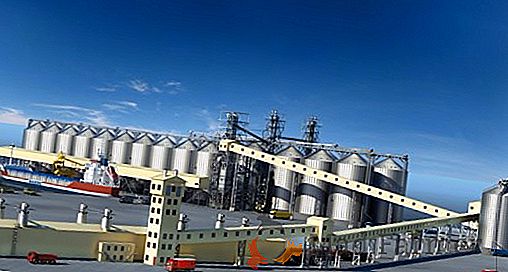 Novotekh-Terminal iniciou a construção de um terminal de grãos no Porto Comercial de Odessa