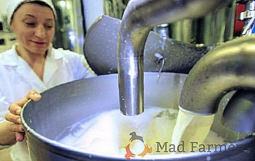 Reducción de los precios de compra para las preocupaciones de la leche Granjeros ucranianos