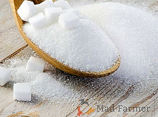Dall'inizio dell'anno, i prezzi dello zucchero in Ucraina sono aumentati