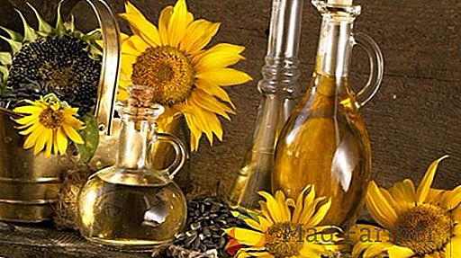 Producția de ulei de floarea soarelui în Ucraina a crescut cu 20%