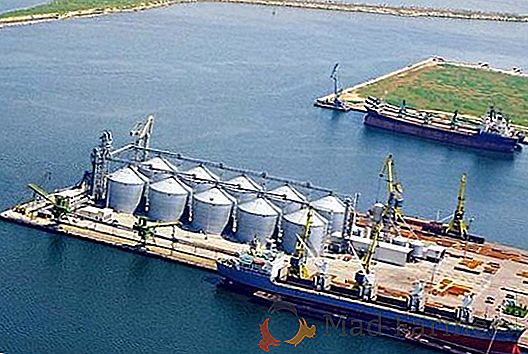 Allseeds Black Sea Company avvia l'implementazione del progetto logistico per il trasbordo di condotte petrolifere