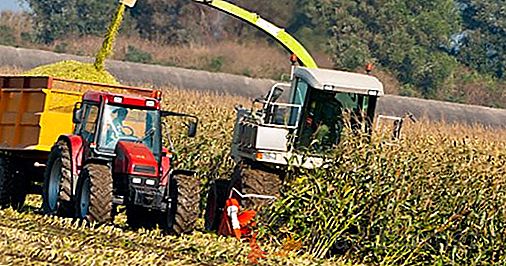 La création de produits agricoles en Ukraine pour l'année a augmenté de près de 14% des prix