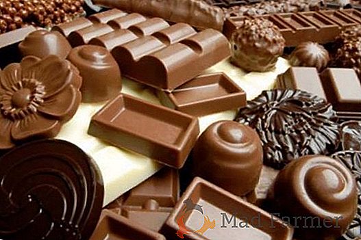 Exportação de chocolate ucraniano diminuiu em 2016