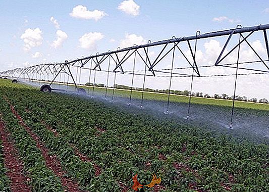 O ministro da Agricultura da Ucrânia propôs a restauração da irrigação