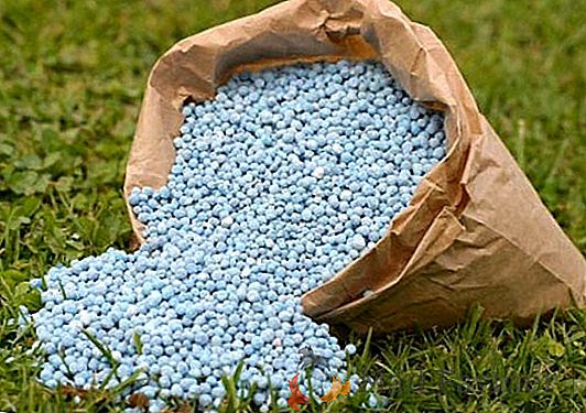Výroba biologických hnojív na Ukrajine sa rozširuje