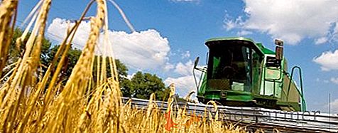 Ucrânia quer aumentar o volume de produtos agrícolas nos mercados da UE