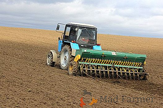 Les agriculteurs ukrainiens ont commencé à travailler sur le terrain au printemps