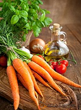 Se familiarizando com variedades de cenouras para a região de Moscou