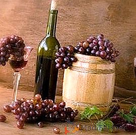 ¿Qué tipo de uvas son adecuadas para el vino?
