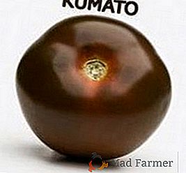 Paradajky čierneho ovocia "Kumato"