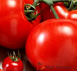 Charakteristika a vlastnosti pestovania paradajok "Červené stráže"