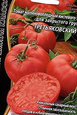 Características da variedade de tomate "Tretyakovsky"