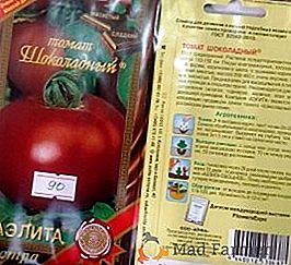 "Czekoladowe" pomidory: charakterystyka uprawy i cechy