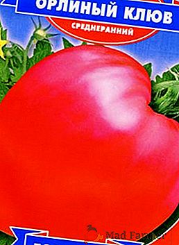 Descripción de la variedad de tomate "pico de águila"