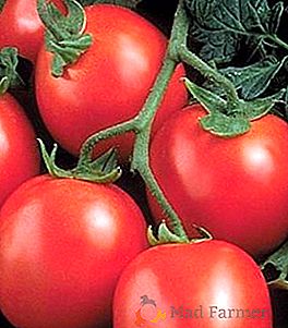 Descriere, fotografie, caracteristici ale tomatelor agricole Rio Grande