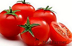 Como crescer tomates "Verlioka Plus" em um jardim de casa