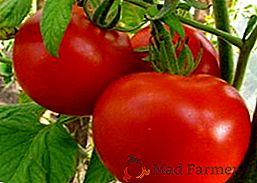 Peculiarità della coltivazione della varietà di pomodori Esplosione