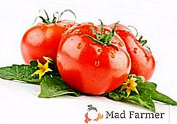 Las mejores variedades de tomates de criadores de Siberia