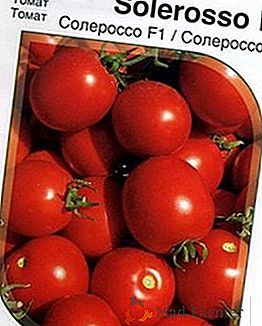 Determinujúci paradajkový hybrid Solerosso F1