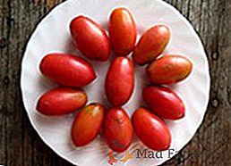 Pomodoro Cio-Cio-san - la varietà perfetta per il decapaggio