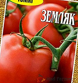 Descripción y descripción del tomate "Countryman"