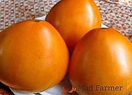 Tomato "Golden Cupolas" - paradižnik iz medena