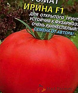 Tomato Irina f1 - včasná a kompaktní odrůda