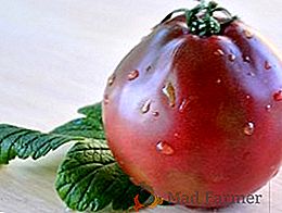 Tomato "Truffle japoneză": caracteristicile și descrierea soiului