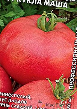 Tomato "Masca F1" este un hibrid ultra-scurt, scurt