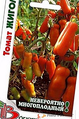 Salchicha de tomate: variedad de tomate Gigolo
