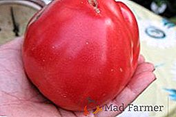 Pomodoro "Sevryuga": caratteristiche e descrizione della varietà, foto