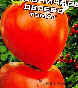 La tomate "Strawberry tree" est une variété indépendante à haut rendement