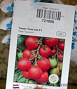 Tomate Tolstoy f1: caractéristiques et description de la variété