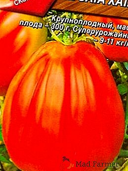 Variedade de Tomate "Puzata huta": características, agrotecnia de cultivo