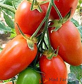 Variedade de Tomate "Rocket": características, vantagens e desvantagens