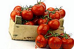 Pomidory o Grandee: cechy, opis, plon