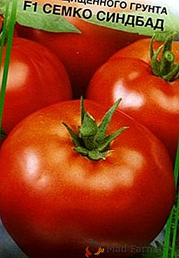 Tomate "Semko-Sinbad"