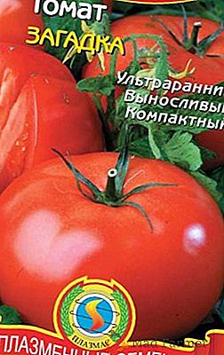 Énigme de tomate à croissance lente et très précoce