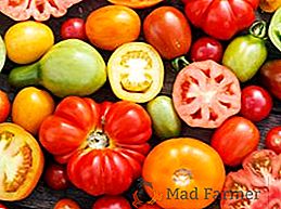 Quais são as variedades determinantes e indeterminadas de tomates