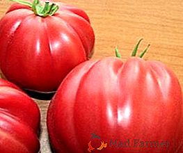 Rendimiento y descripción de las variedades de tomates "Fig Figures" y "Pink"