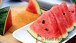 O que procurar ao escolher a melancia