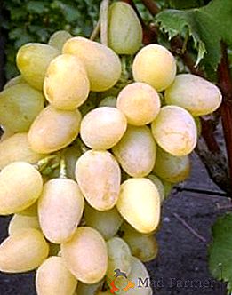 Varietà d'uva "Monarca"