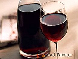 Secretos y recetas para el vino "Isabella" en casa